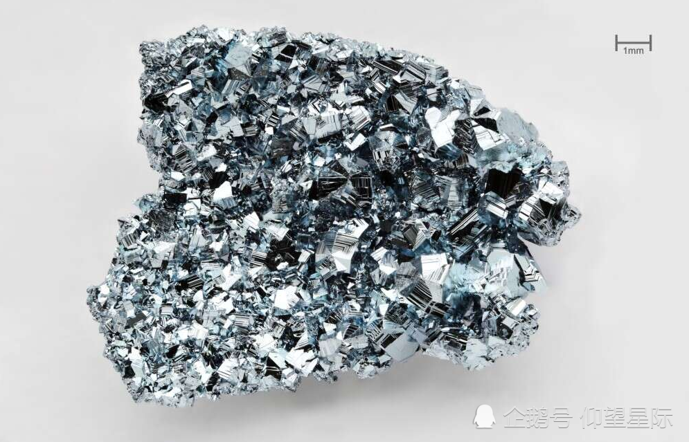 鱼化石表明隐藏在海底的"宝藏",有什么联系?_腾讯新闻