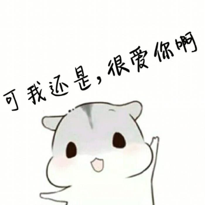 仓鼠表情包亲爱哒你在干嘛呢