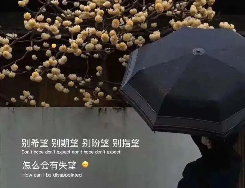 近期抖音超火背景圖