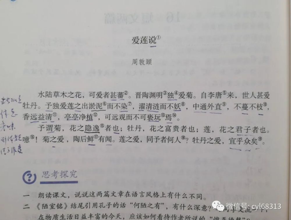 课本索引:初中语文课本七年级下《爱莲说》(周敦颐),水陆草木之花