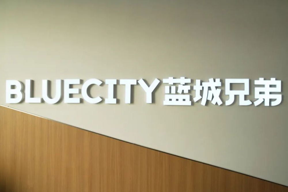 蓝城兄弟特殊社交龙头赴美上市