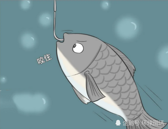 搞笑:美丽女孩投胎转世化身一条鱼,为了促成一桩"美事",她不得不这样