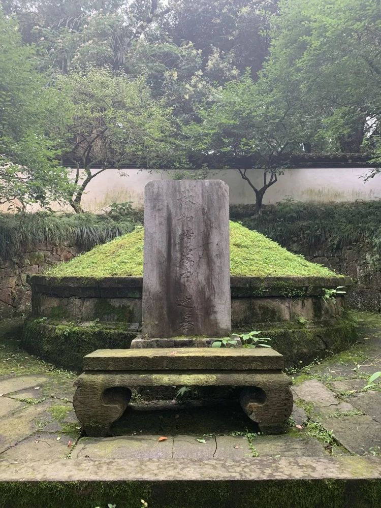 在我眼里她们才是乘风破浪的姐姐