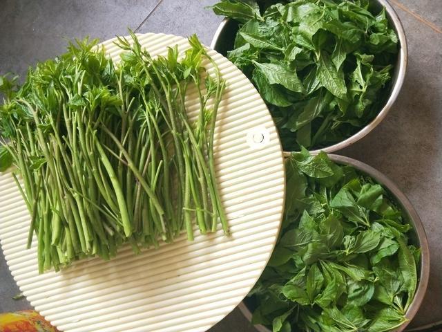 【烹饪过程】:刺五加两小捆,大蒜粒五颗,小香葱三根,食盐适量,香醋