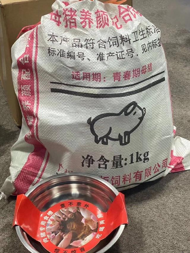 猪饲料图片搞笑表情包图片