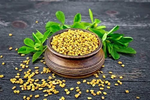 民间草药 胡芦巴 草药 葫芦巴 补肾壮阳 本草汇言