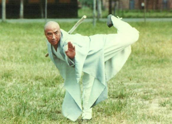 小伙子比武失败因祸得福在深山发明螳螂拳