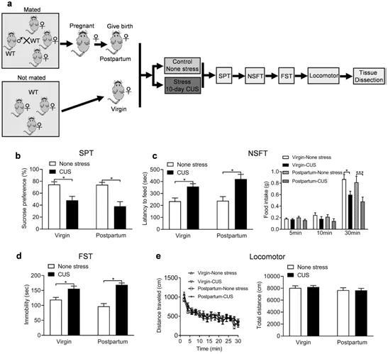 抑郁症|压力下抑郁风险和恢复力的基因组预测