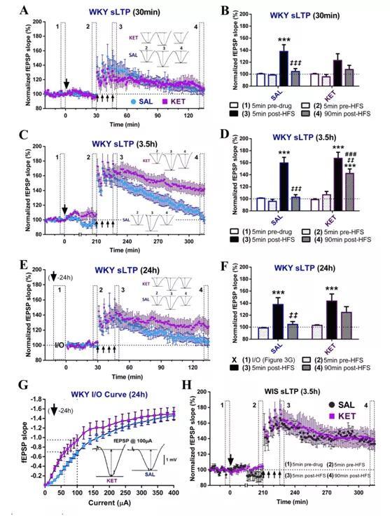 抑郁症|压力下抑郁风险和恢复力的基因组预测