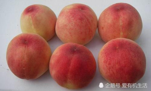 盛夏6月,桃子飘香,你吃过四川龙泉驿的水蜜桃吗?