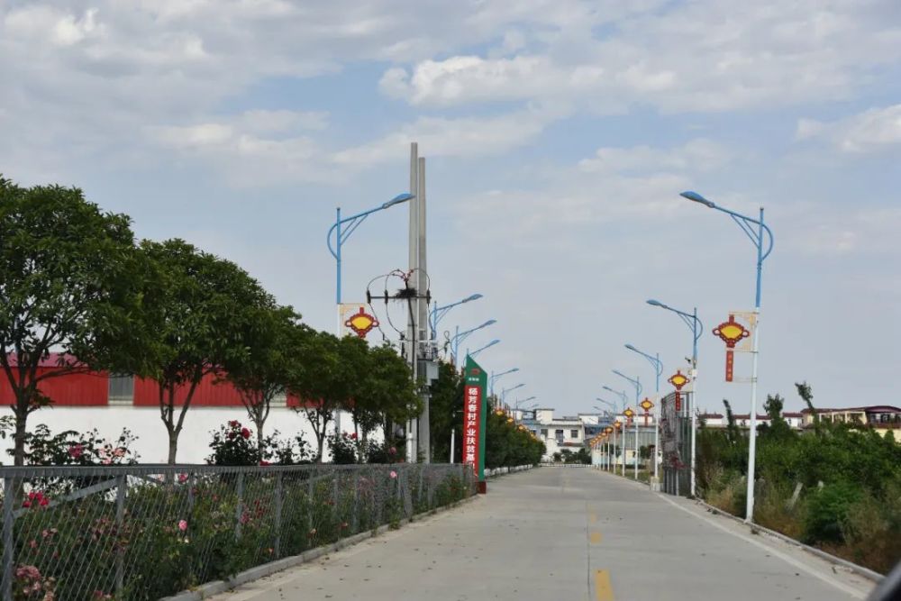 晁陂梁堂村:昔日软弱涣散村 如今"蝶变"展新颜