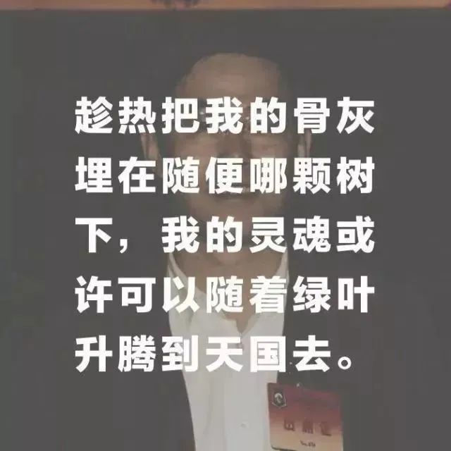 朱铁志的最后一封信如果我死