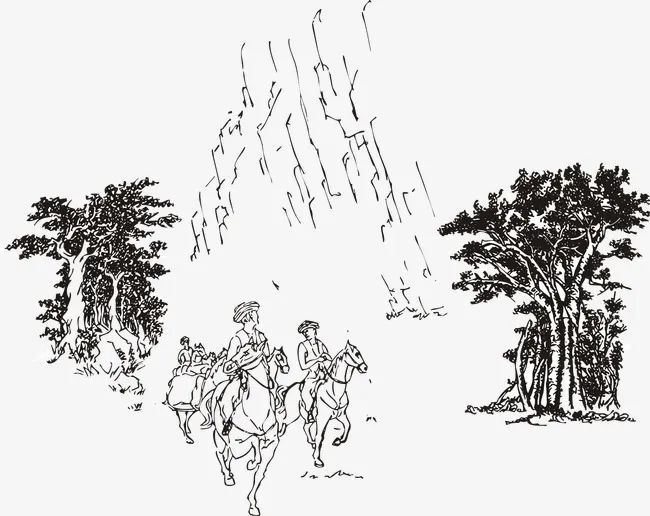 普洱茶原产区与中原文化发达区由于历史交通闭塞缘故,导致普洱茶直至