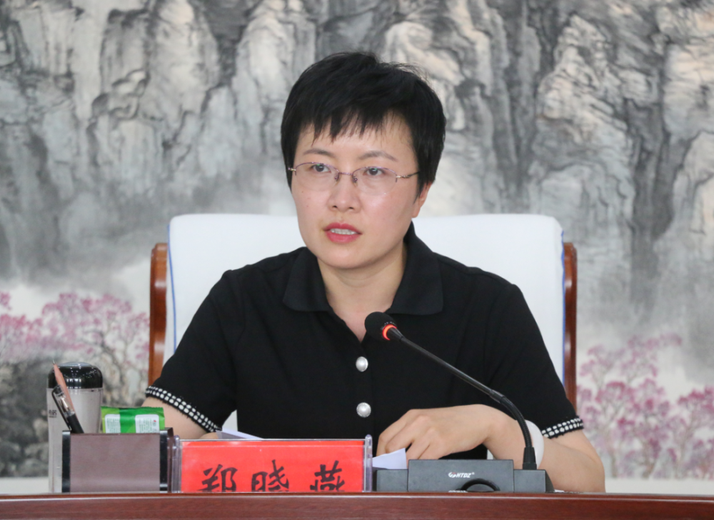 县委副书记郑晓燕就当前存在的问题和下一步工作方向