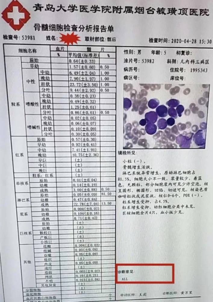 骨穿骨髓細胞病理顯示all,免疫分型報告符合急性t細胞白血病免疫分型