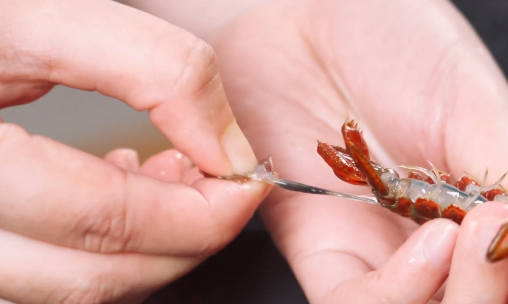 清洗的时候,用手捏住小龙虾鳃的位置,可以避免被小龙虾夹手哦!