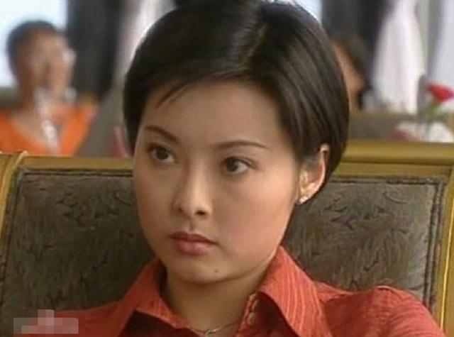 塑造了许多经典的角色,例如《非常爱情》中坚强勇敢的舒心,《英雄无悔