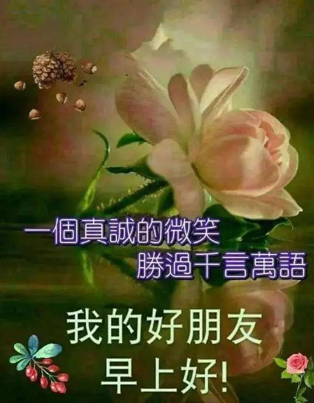 最新早上好祝福溫馨句子,早晨精美的早安祝福表情文字圖片