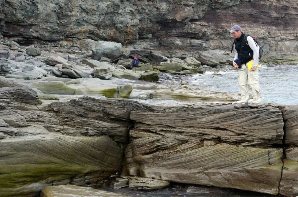 新斯科舍省槽状交错层理(trough cross-bedding)