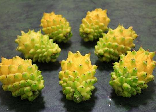 世界5大罕见水果:基本很少有人吃过2种以上!极其罕见与稀少