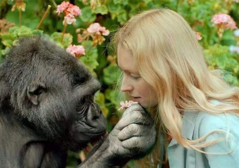 地球上是否存在这样的物种,它们和人类之间没有生殖隔离?