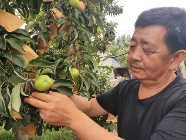 原创坚守17年执着老果农复原老口味苹果