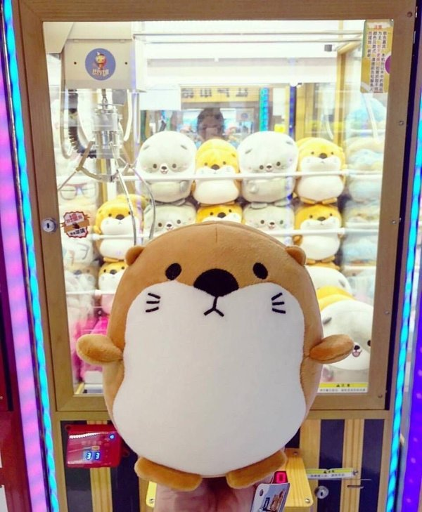 怎么夹娃娃有什么诀窍吗?抓娃娃的心得