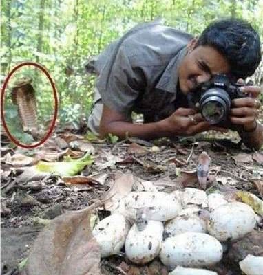 谁身上没有台绿水鬼了?