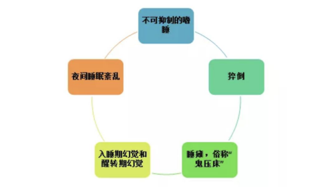警惕是发作性睡病!