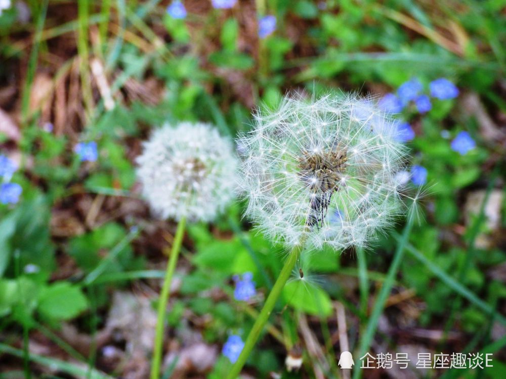 6月24日 28日星座运势 白羊充满斗志 射手另眼相看 双鱼大胆表达 腾讯新闻