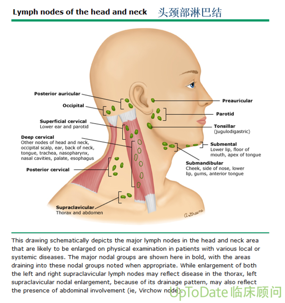 淋巴水肿了怎么办?_腾讯新闻