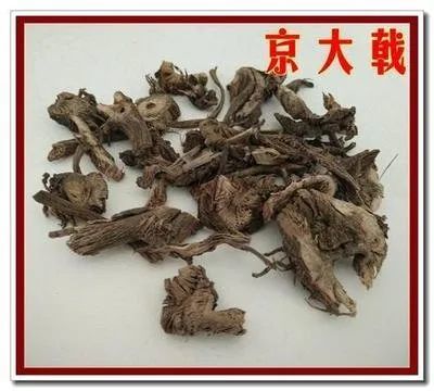 今日讲解峻下逐水药京大戟