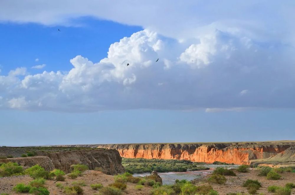 党河发源于肃北境内疏勒南山和党河南山的冰川群, 其间共 338 条冰川