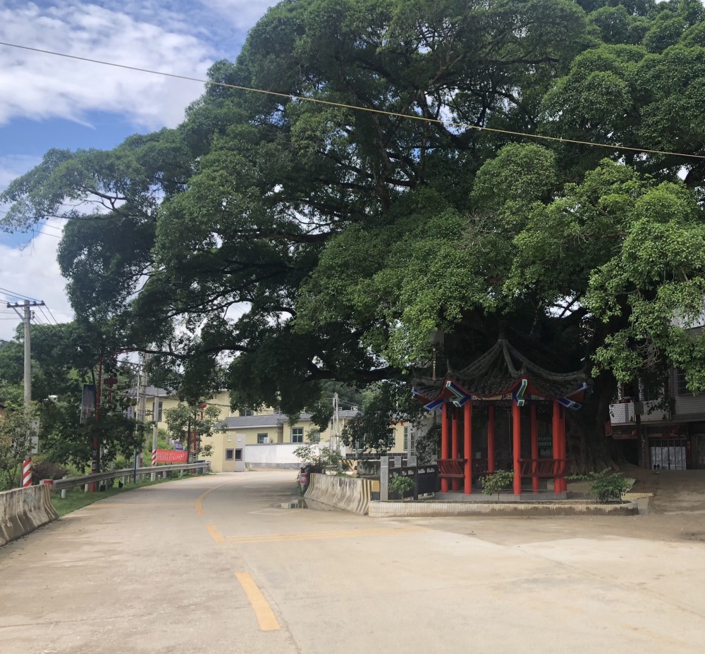 河源敬梓镇冯坑村奏响乡村振兴三部曲