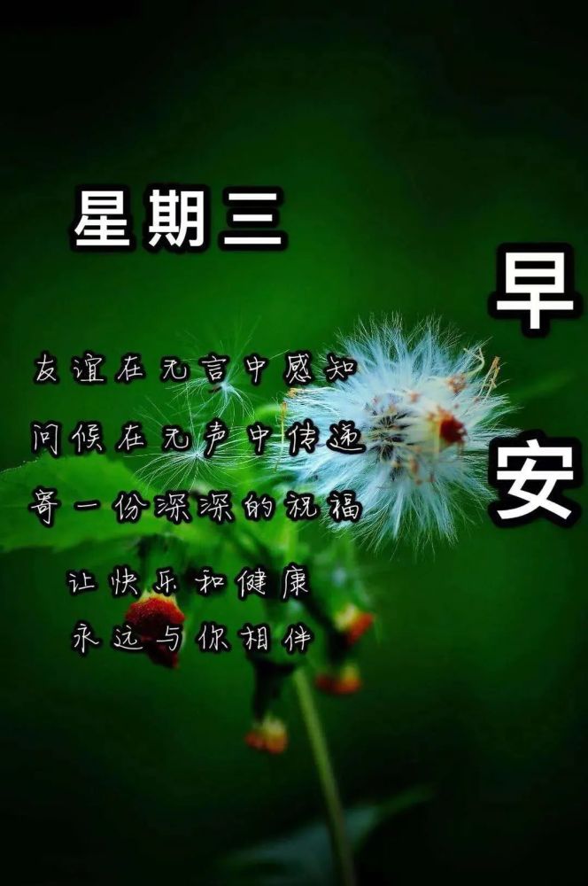 8月4日最漂亮的早上好祝福语图片温馨清晨群发短语暧心问候动图 腾讯新闻