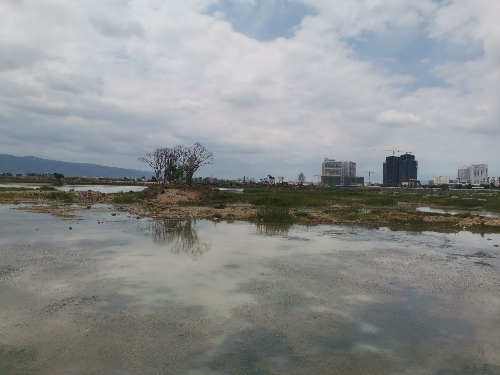 曲靖千畝城中湖～麒麟湖,說好的一大亮麗風景,難道只剩願景?