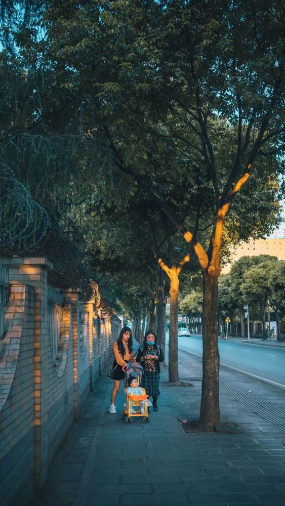 摄影师莫森先生眼中的生活vol110千姿百态才是生活的常态