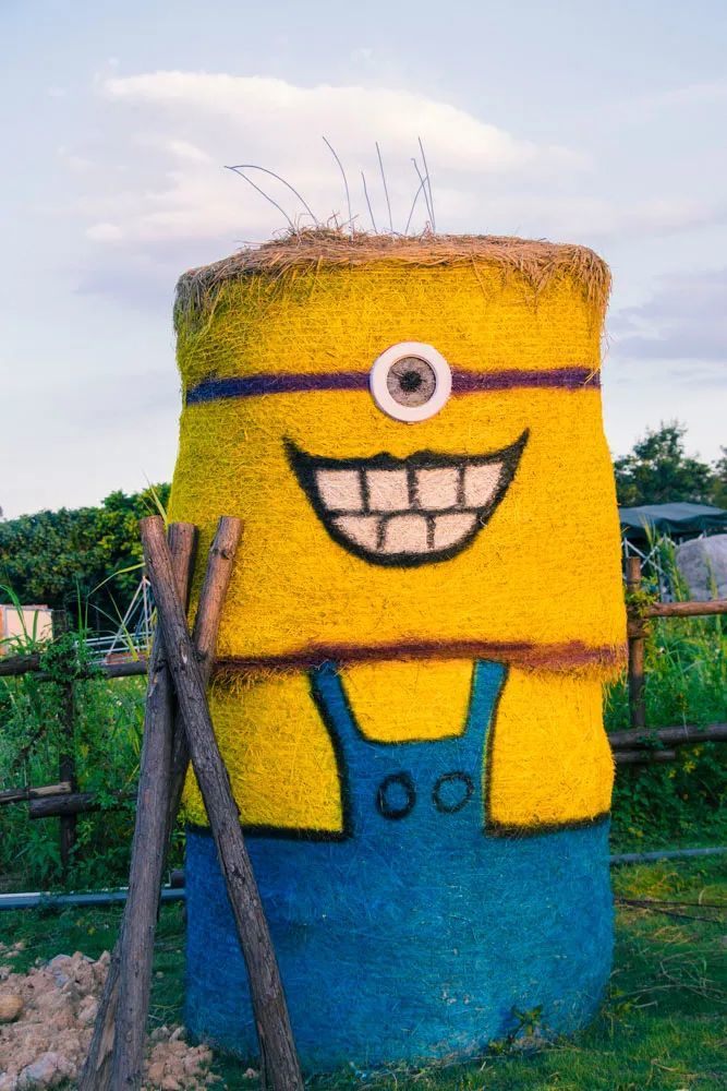 海沧百亩草垛主题乐园,出门就是森林!