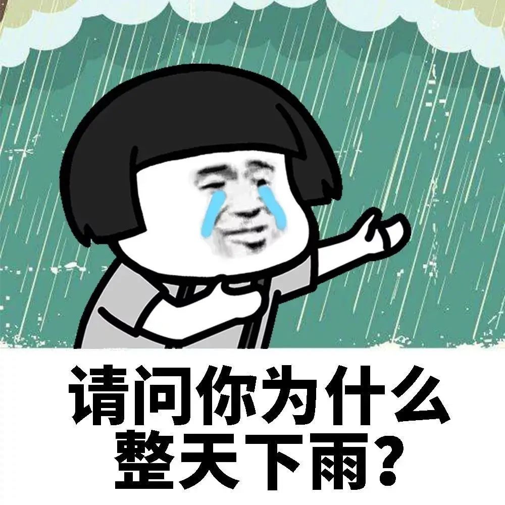 乘风破浪!咱乐山人是这样"看海"的