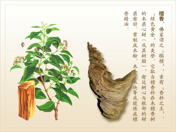 四大名香你知道吗