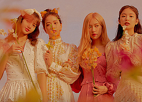 粉墨组合开通微博除了lisa以外全员都关注了同一个人