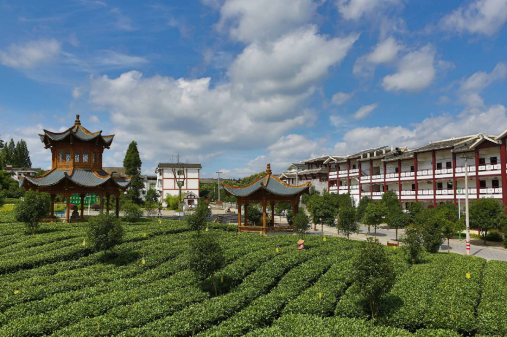 湄潭县湄江街道核桃坝村:被誉为"中国西部茶叶第一村",是全国农业旅游