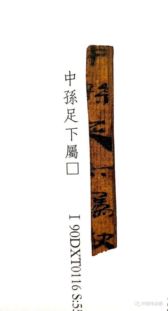 甘肃省文物考古研究所|悬泉置汉简，2000年前留下的书写极致！