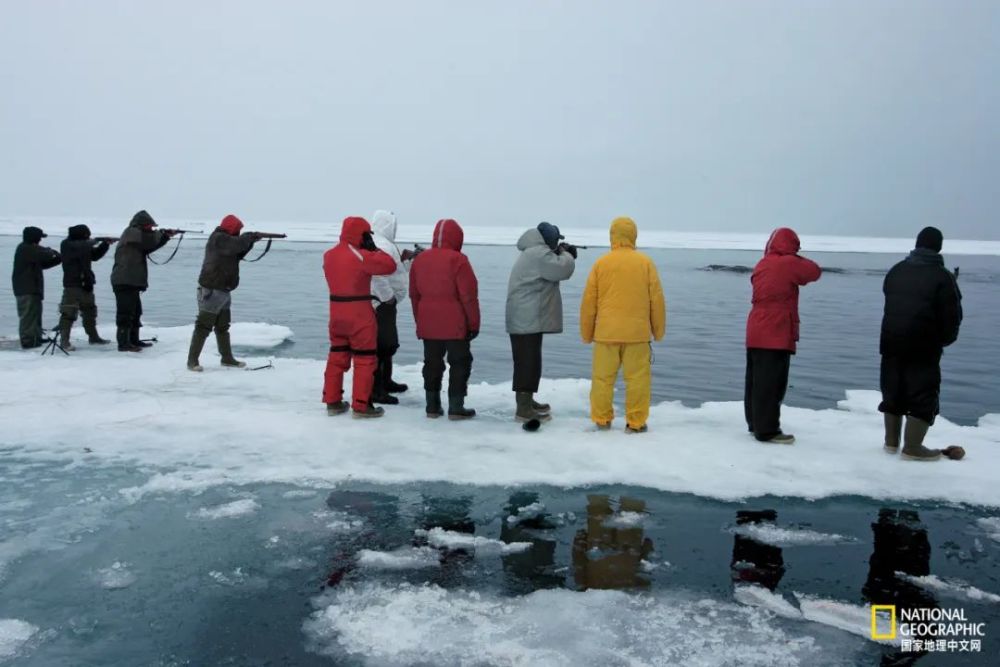 独角兽|他们捕杀的，是真正的独角兽