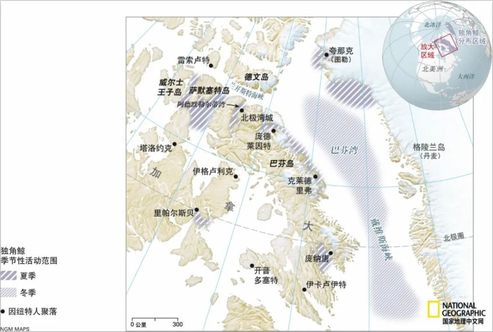 独角兽|他们捕杀的，是真正的独角兽