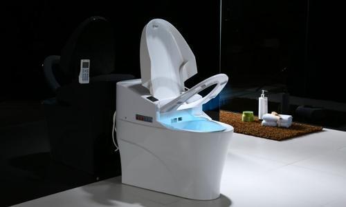 选购智能马桶盖要注意什么 答案在这里