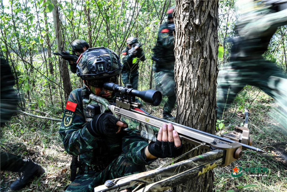 密林突击武警自贡支队山地反恐演练来袭