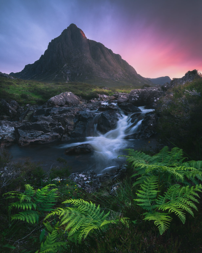 dave nilsen摄影:radoslav cernicky摄影:deepak ghosh摄影:nedyalko