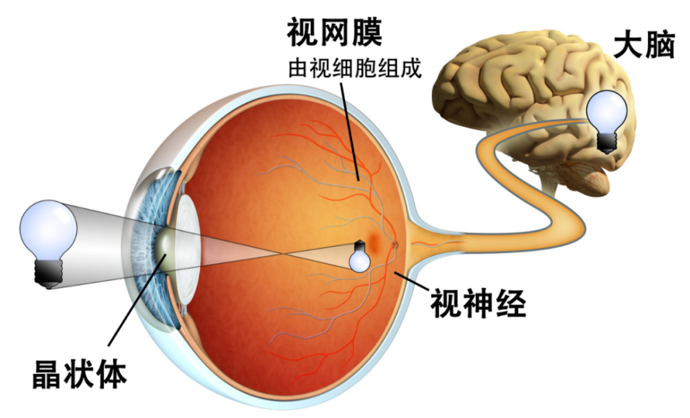 教案格式小学数学_教案格式小学英语_小学教案格式