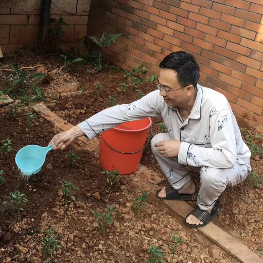 老宣传人的种菜感悟从少年至青春而今浪后复归